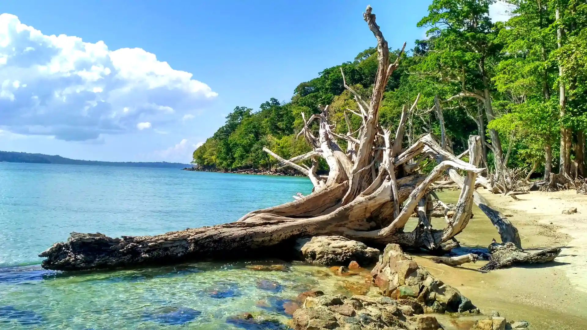 Andaman