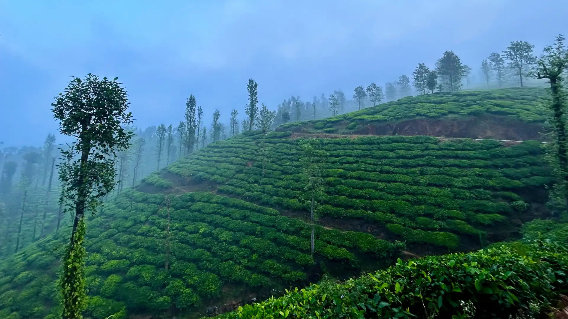 Kerala